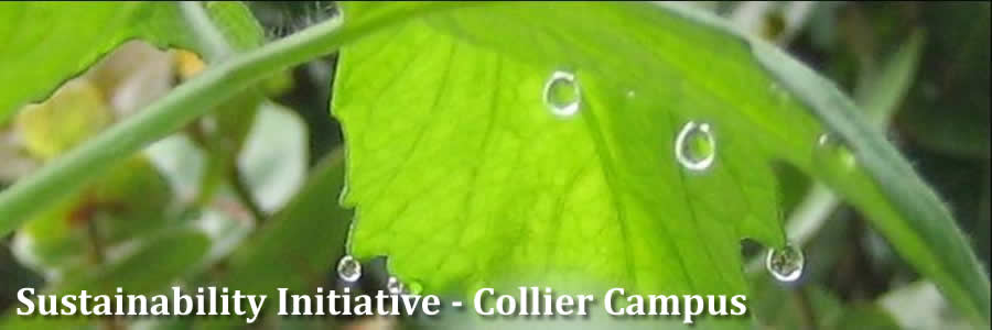 Sustainability initiative