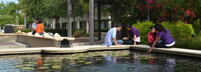 Students sitting at the Garden of Inspiration outside of Humanities Hall on the Lee Campus. 